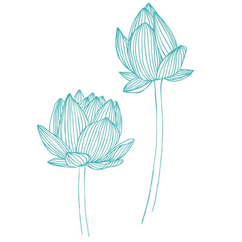 PLUSIEURS TYPES DE MASSAGES