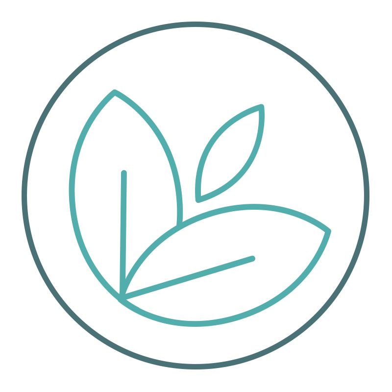 RÉSUMÉ (Toutes mes prestations )