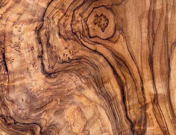 L'un des 5 éléments : le bois