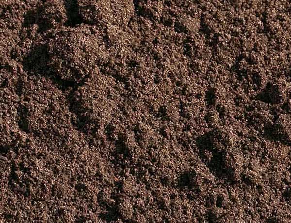 L'un des 5 éléments : la terre